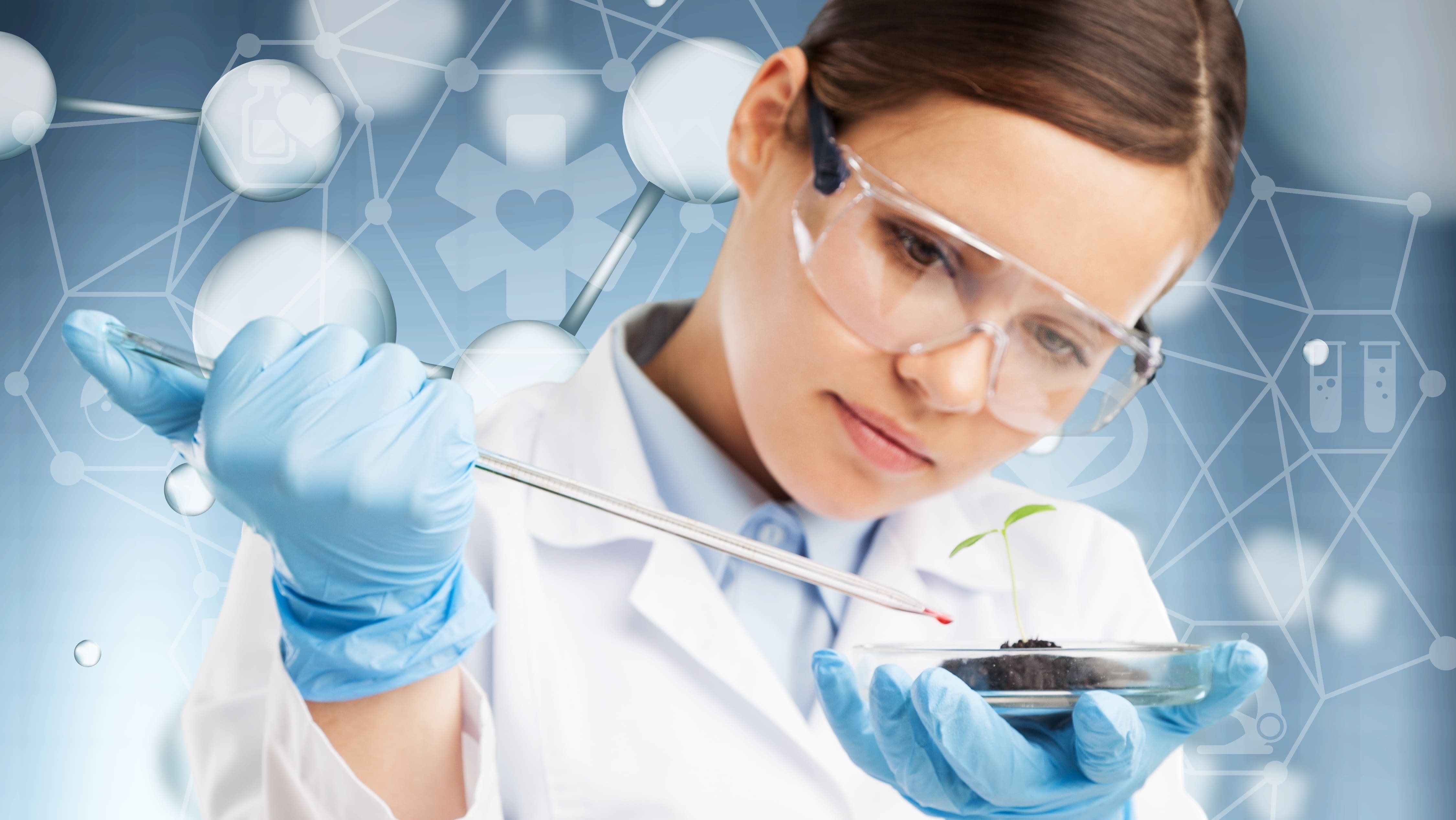 debates-de-la-bioetica-ambiental